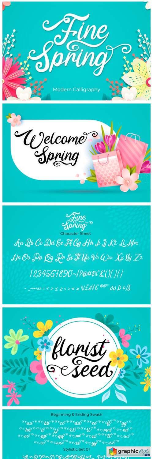 Fine Spring Font