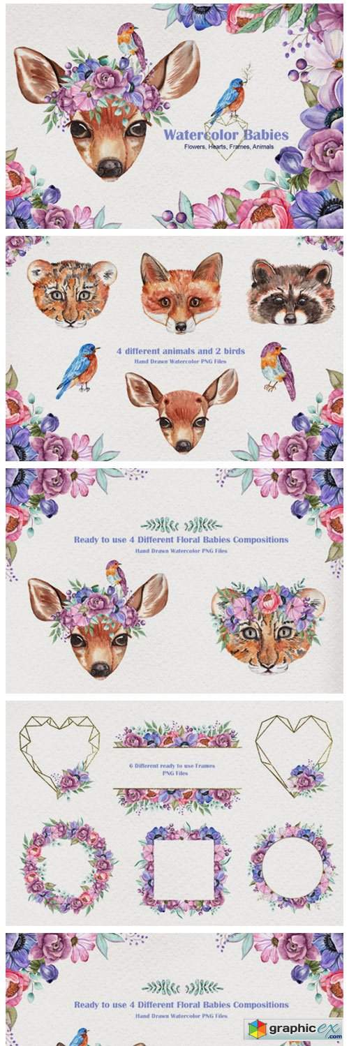  Watercolor Baby Animals and Flowers 