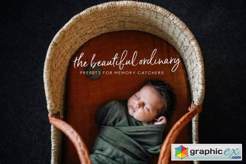 Michelle McKay - The Beautiful Ordinary Presets for Memory Catchers