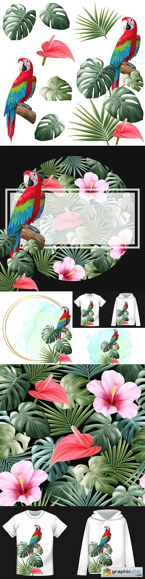  Parrot, leaf monsters and palm trees with colors realistic illustrations 