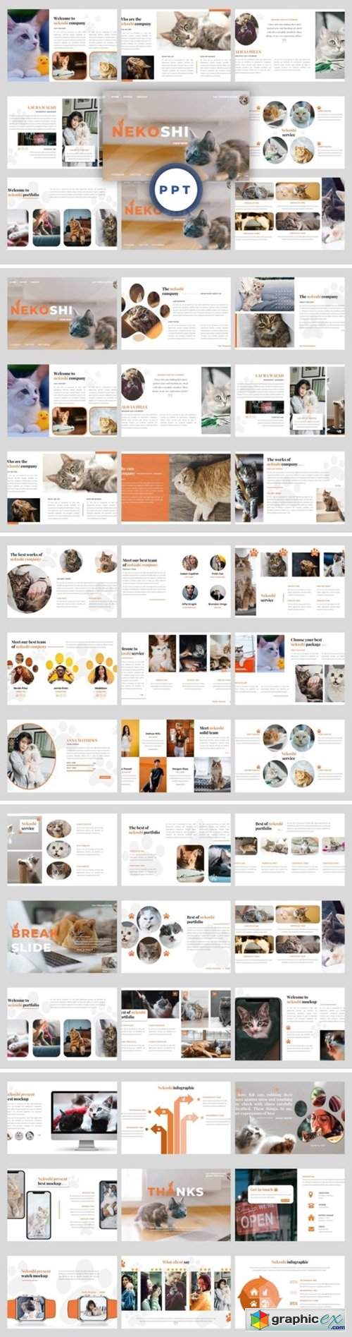  Nekoshi – Pet Business PowerPoint 