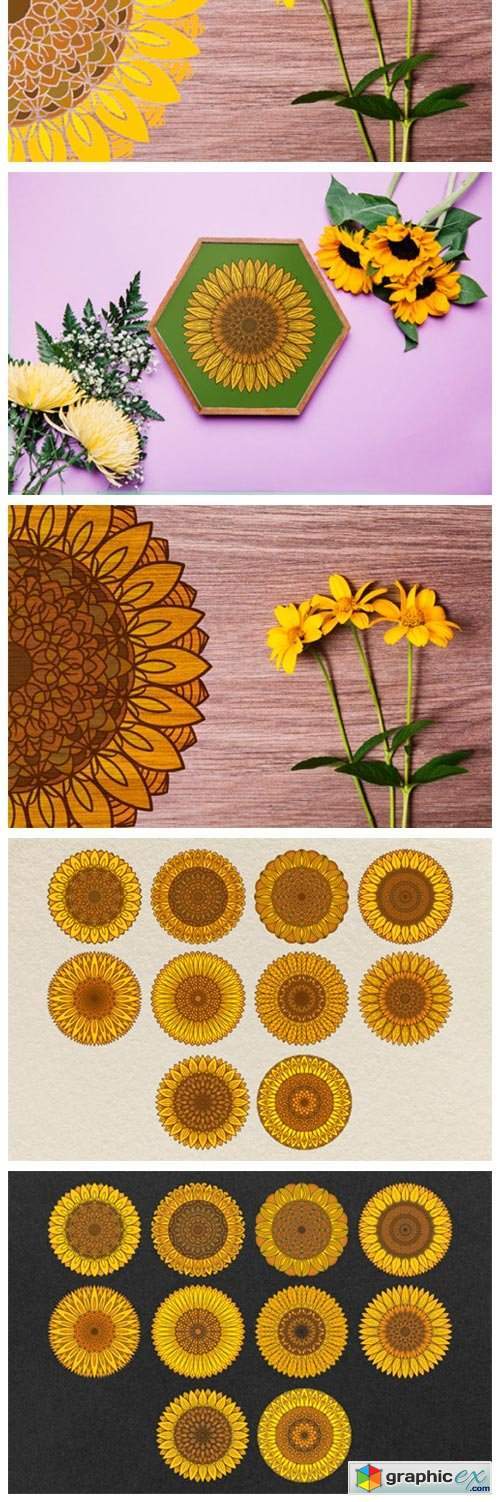 Sunflower Mandalas Color