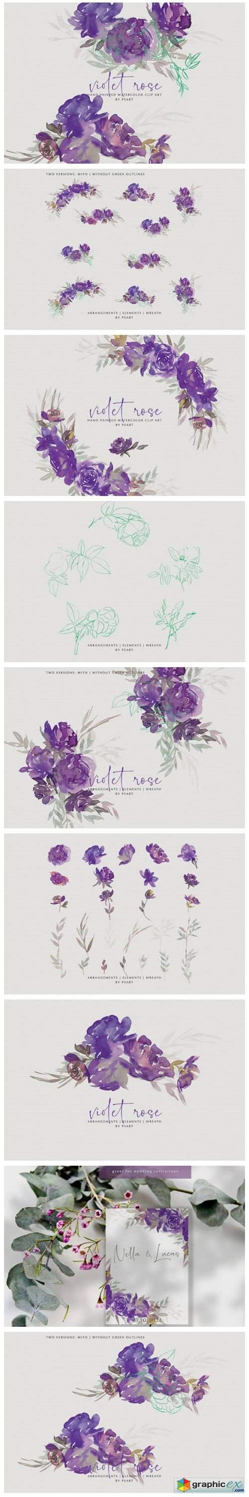 Watercolor Violet Rose Clipart Collection