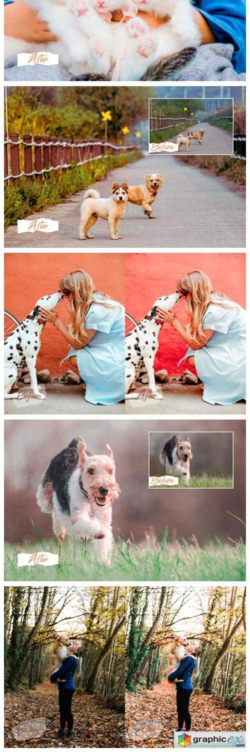 14 Pet Lovers Photoshop Actions ACR Luts