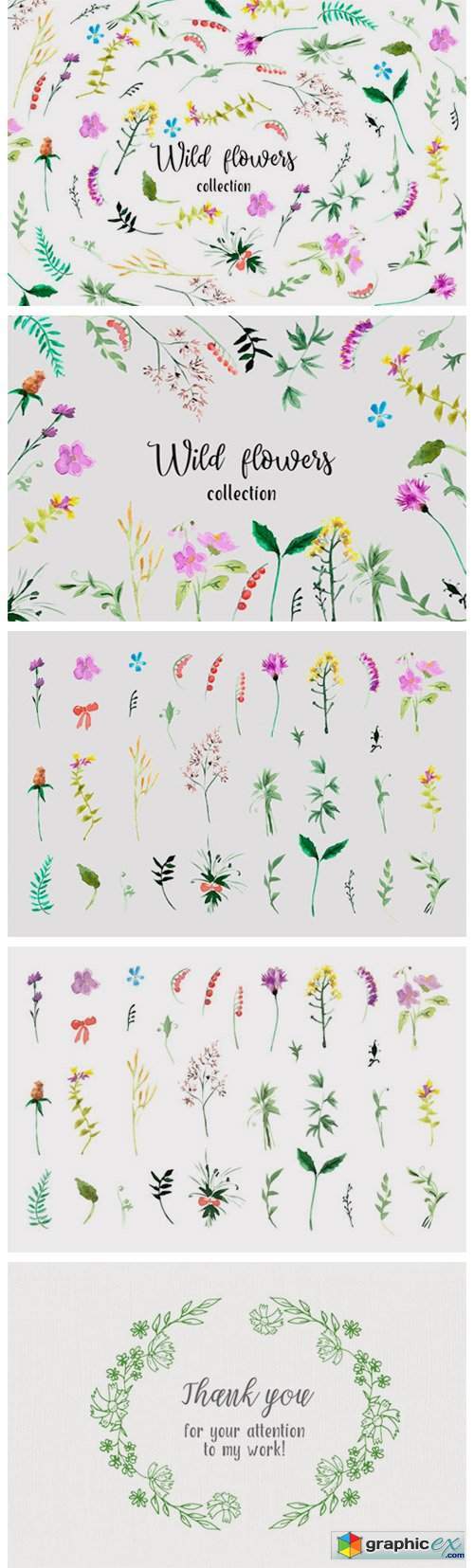 Set of Watercolor Floral Elements