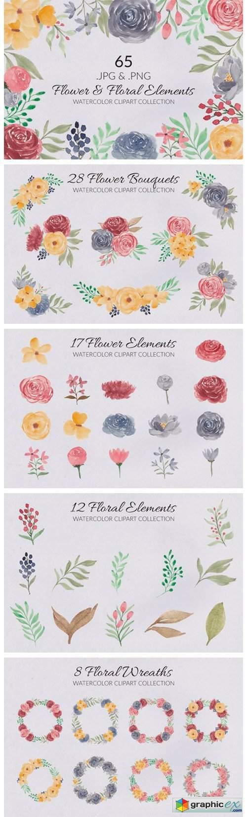 65 Flower and Floral Watercolor Clipart