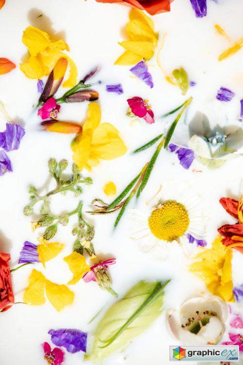  Colorful spring flowers in a milk bath patterned background 