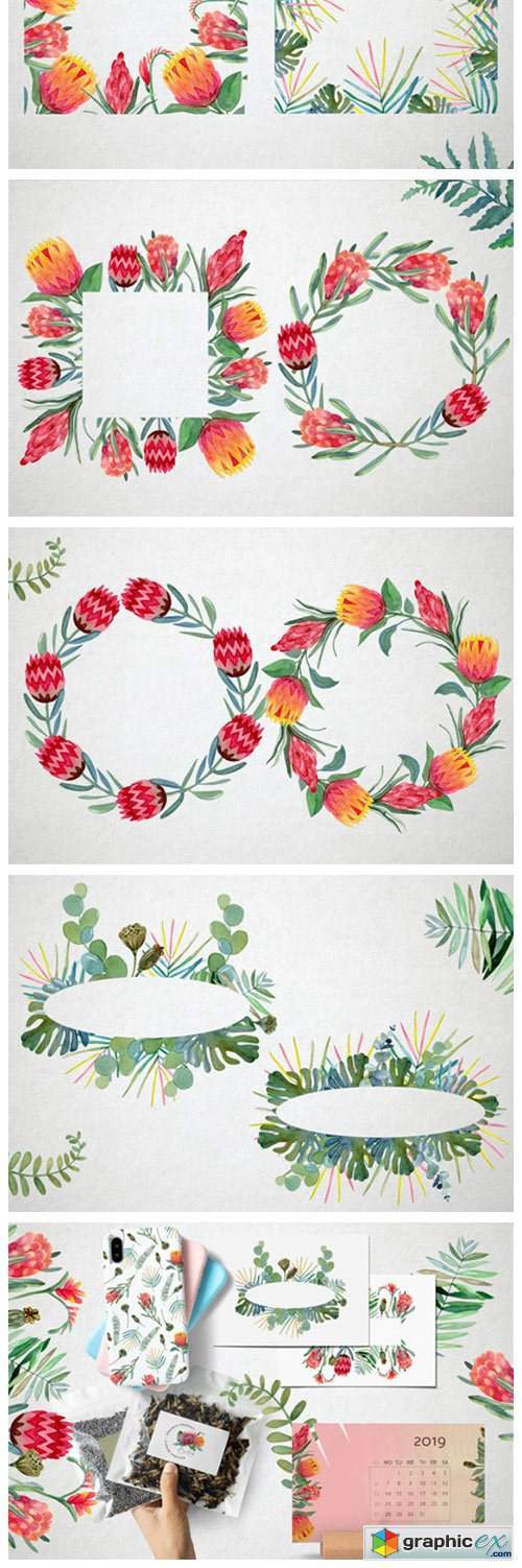 Watercolor Protea Frames and Wreath