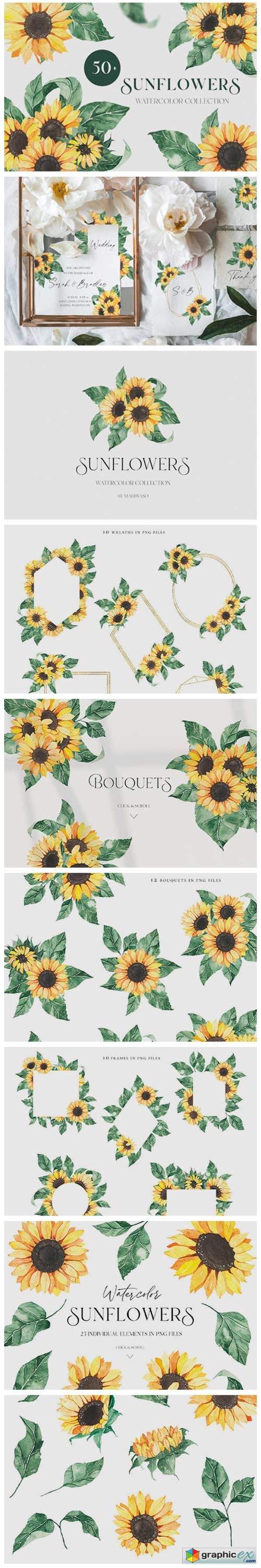  Watercolor Sunflowers Collection 