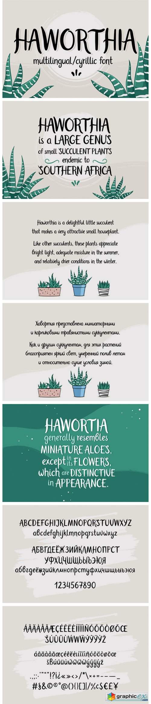  Haworthia Font 