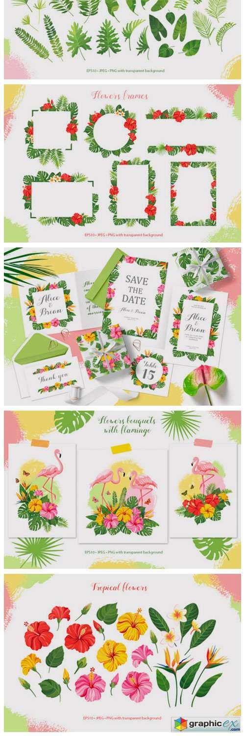 Tropical Vector Graphic Set