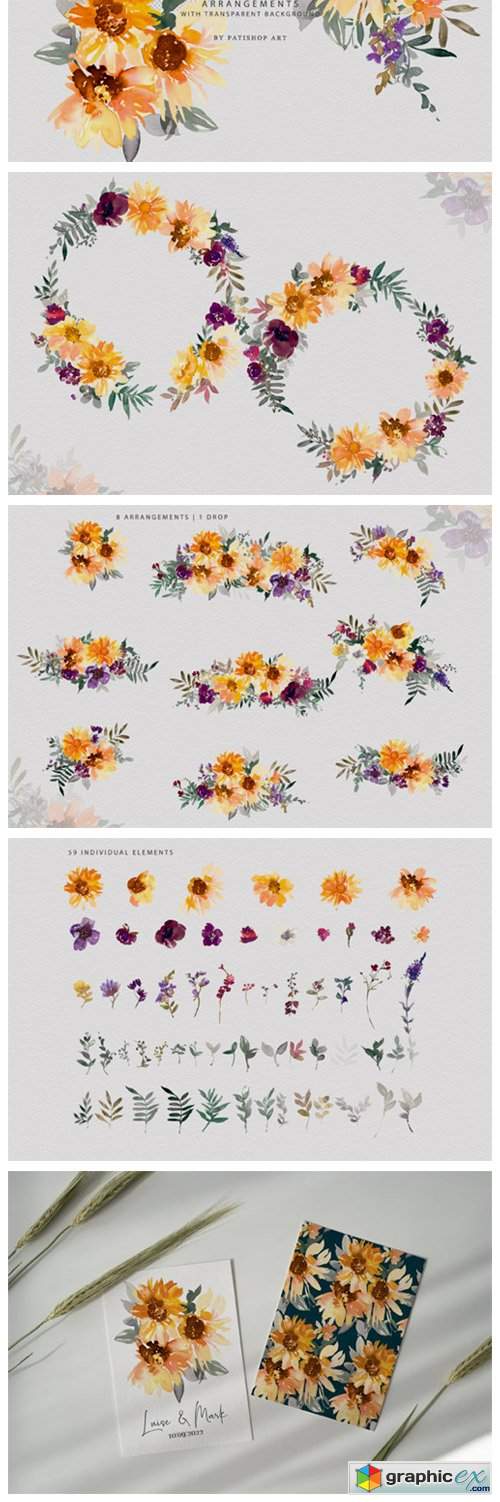  Watercolor Sunflower Clipart Collection 