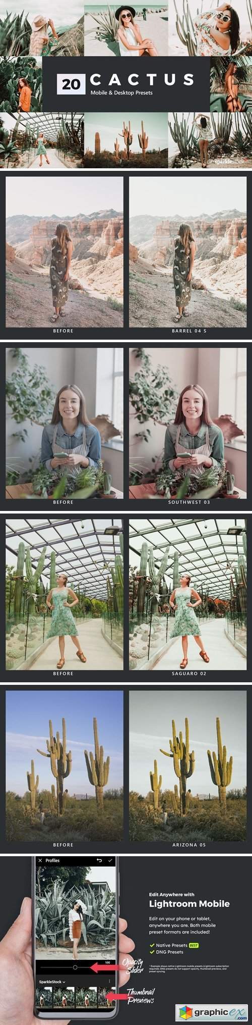 20 Cactus Lightroom Presets and LUTs