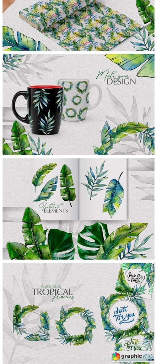 Tropical Forest Watercolor PNG