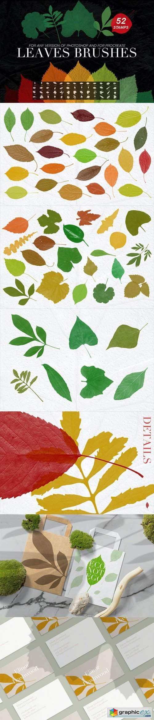 52 Leaves Photoshop Stamp Brushes