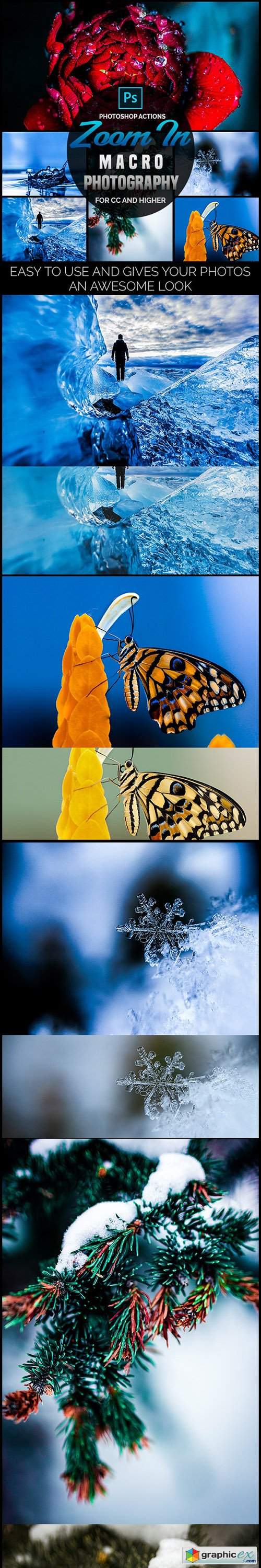 Zoom In - Macro Photography Photoshop Actions 