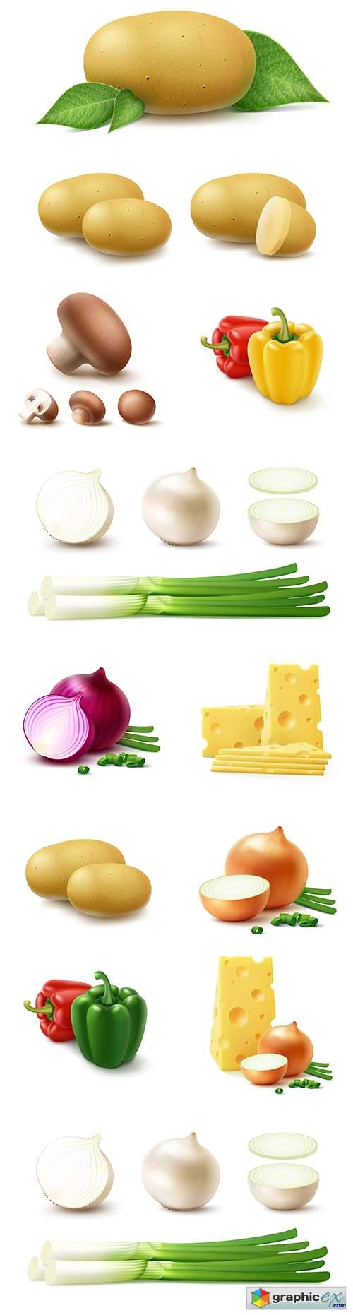  Vegetables whole and chopped 3d realistic illustrations 