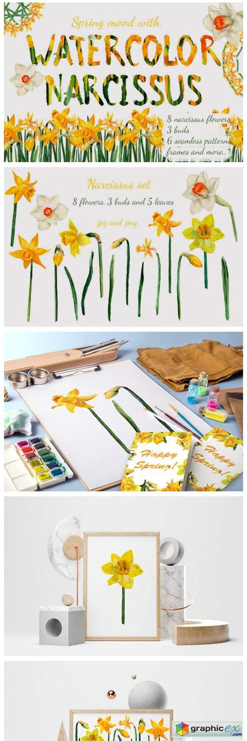  Watercolor Narcissuses 