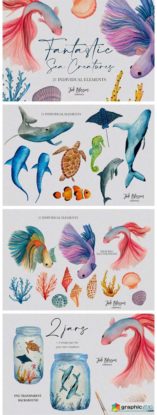  Fantastic Sea Creatures 