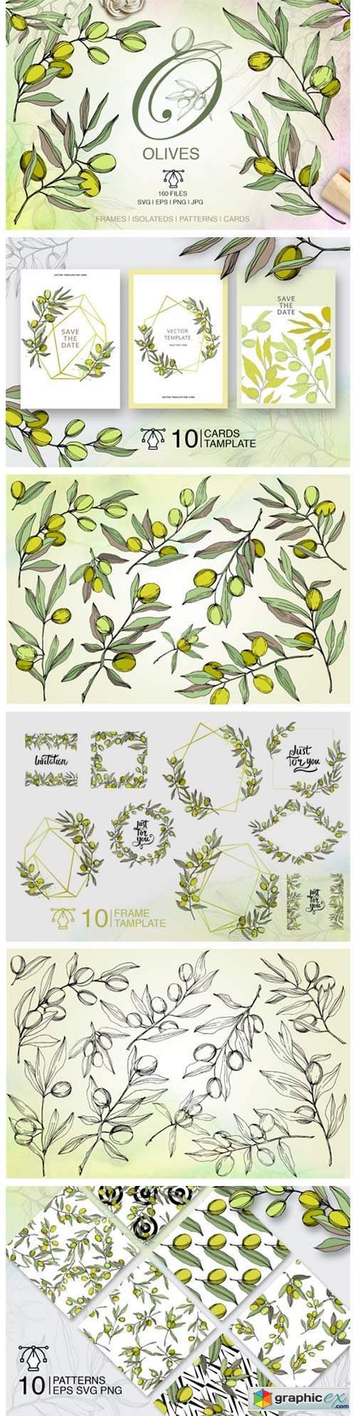 Olives Vector Watercolor Set