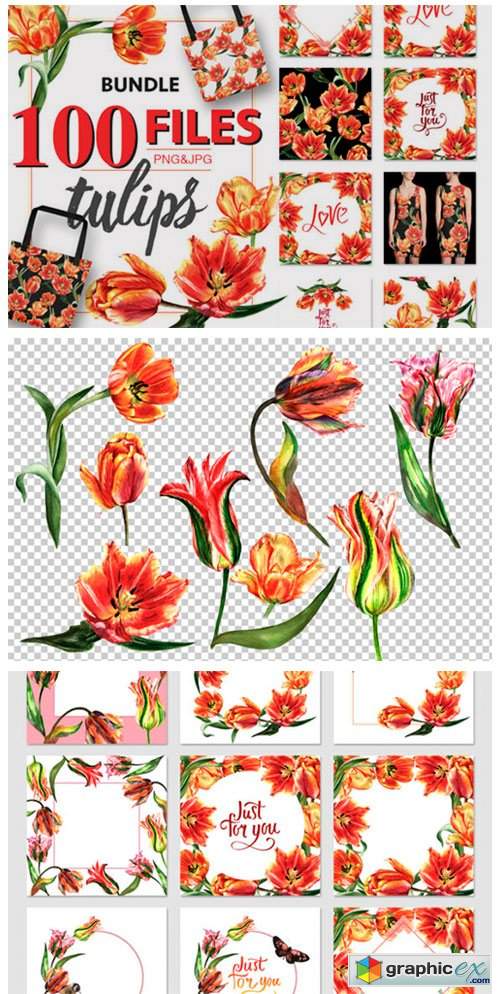  Tulip Red PNG Watercolor Flower Set 4756402