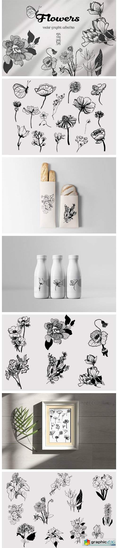  Vector Collection of Hand-drawn Flowers 