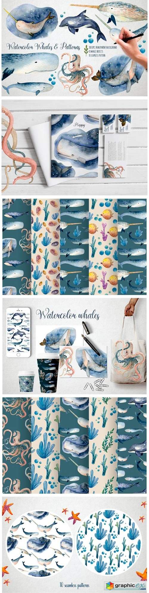 Watercolor Whales & Patterns 