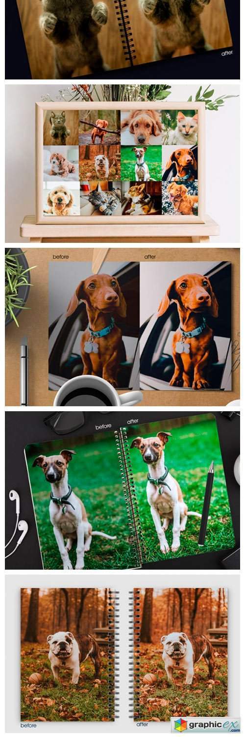 Cute Pets Lightroom Presets