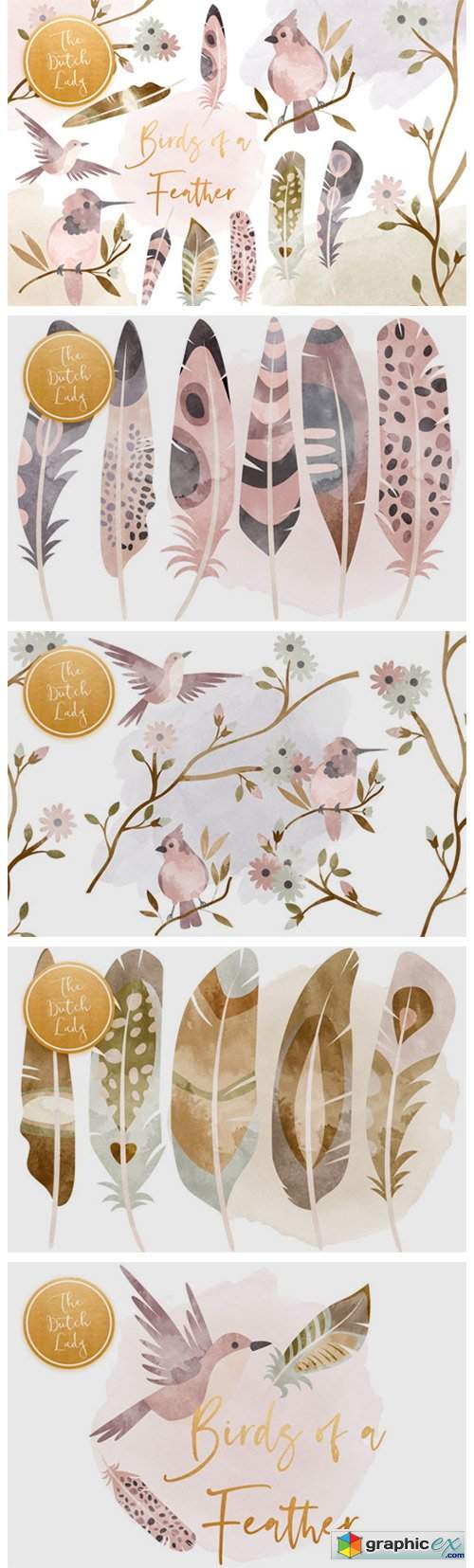  Birds & Feathers Clipart Set 