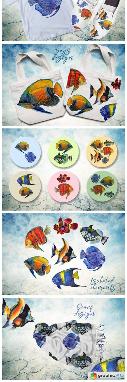 Sea Fishes PNG Watercolor Set