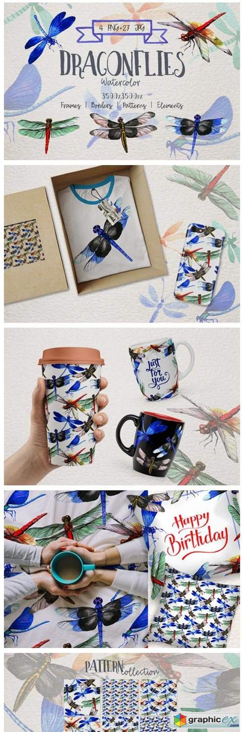 Insect Dragonfly PNG Watercolor Set