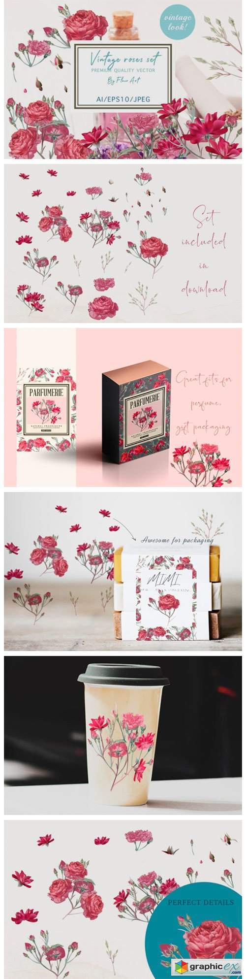 Pretty Rose Vector Clipart Set