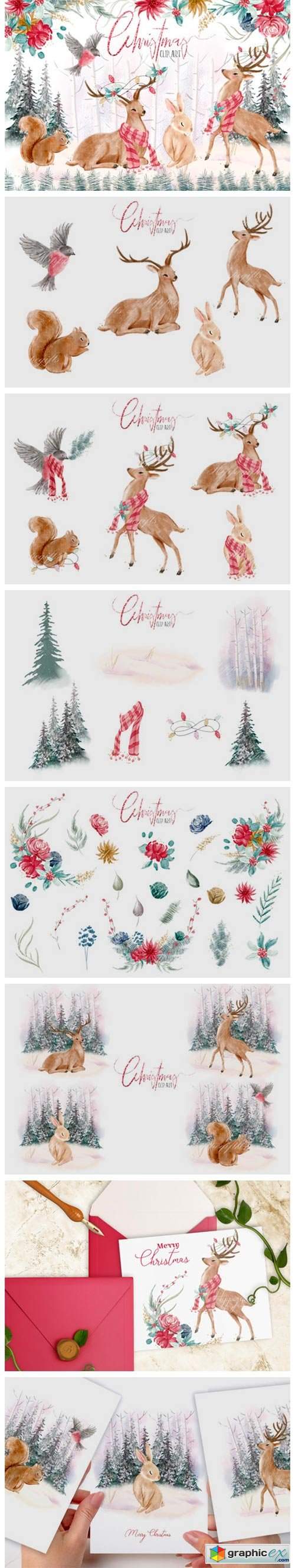  Woodland Christmas Illustrations 
