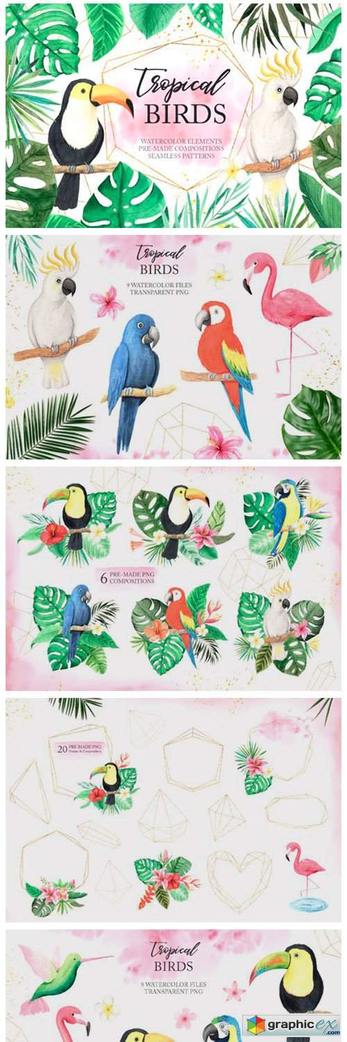  Watercolor Tropical Birds Set 