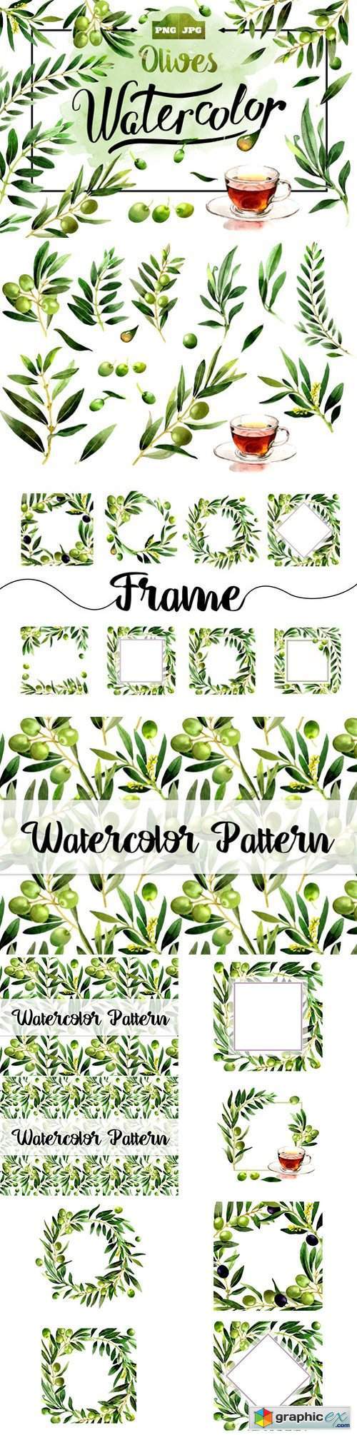 Olives watercolor PNG clipart
