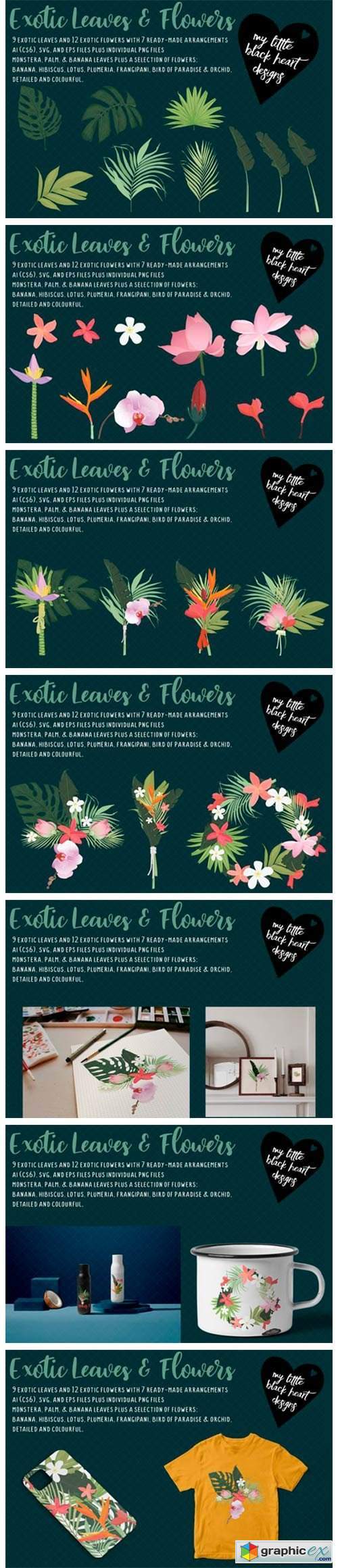 Exotic Leaves and Flowers