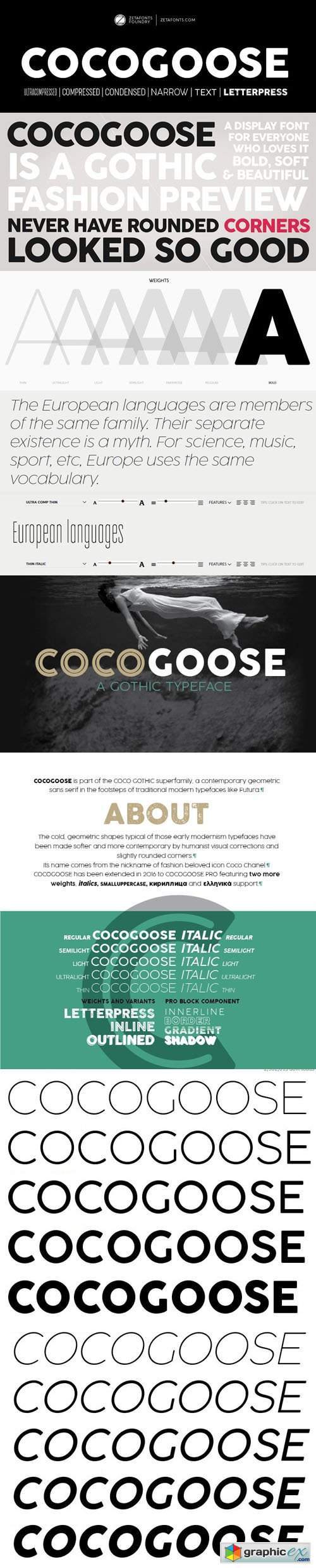 Cocogoose Sans Serif Typeface [10-Weights]