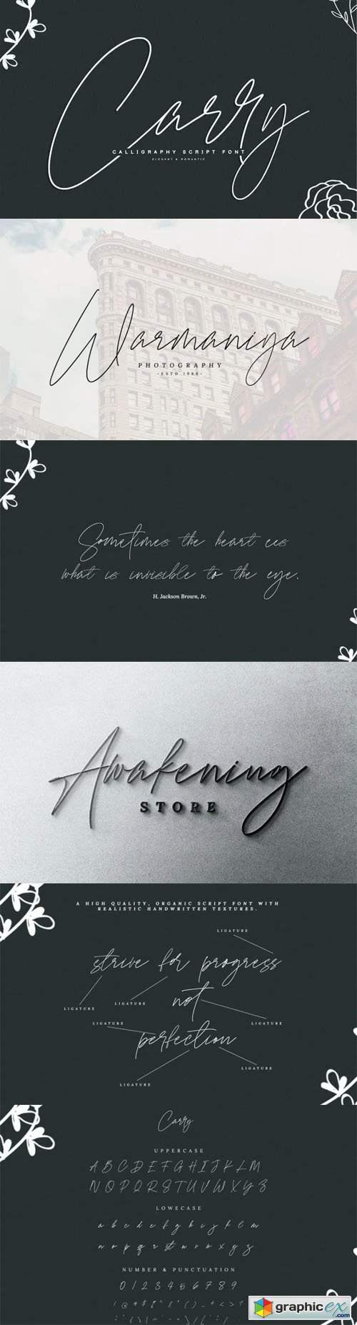  Carry - Calligraphy Script Font 