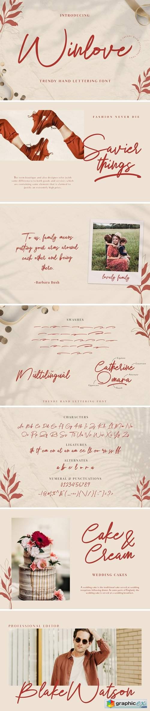 Winlove | Elegant Handwritten Font 