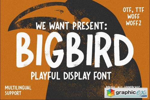  Bigbird Playful Display Font 