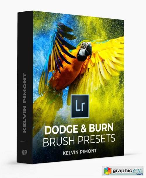  Kelvin Pimont - Dodge & Burn Lightroom Brush Presets 