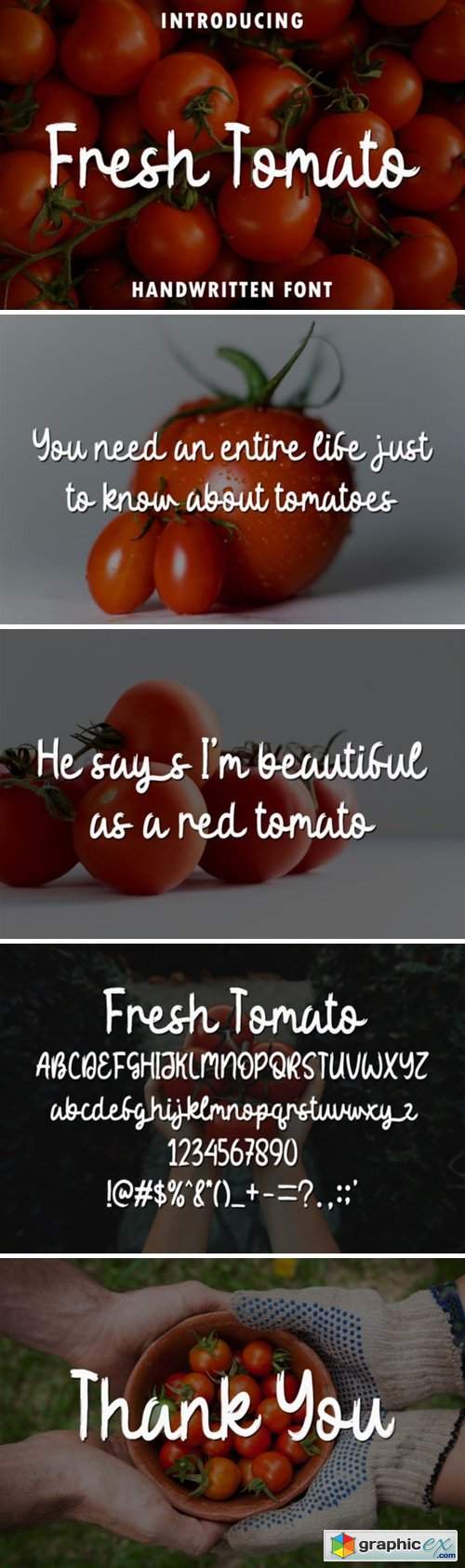  Fresh Tomato Font 