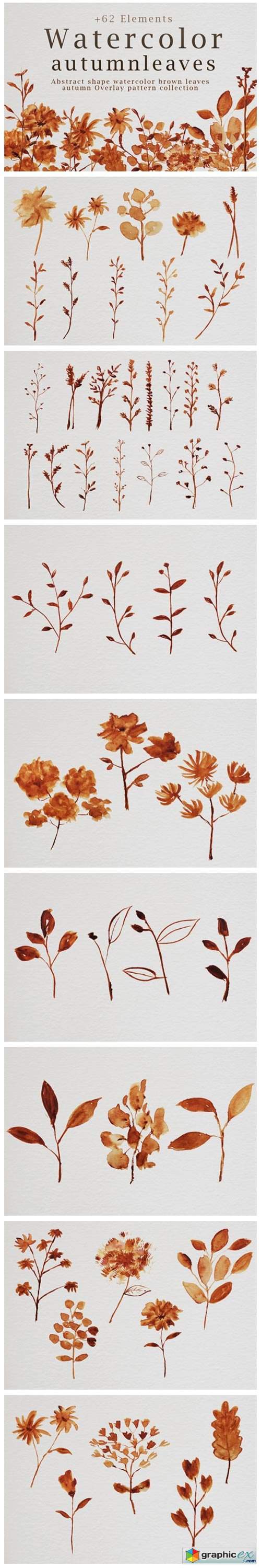  Abstract Shape Watercolor Brown Leaves 
