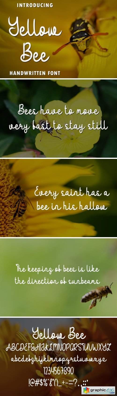 Yellow Bee Font