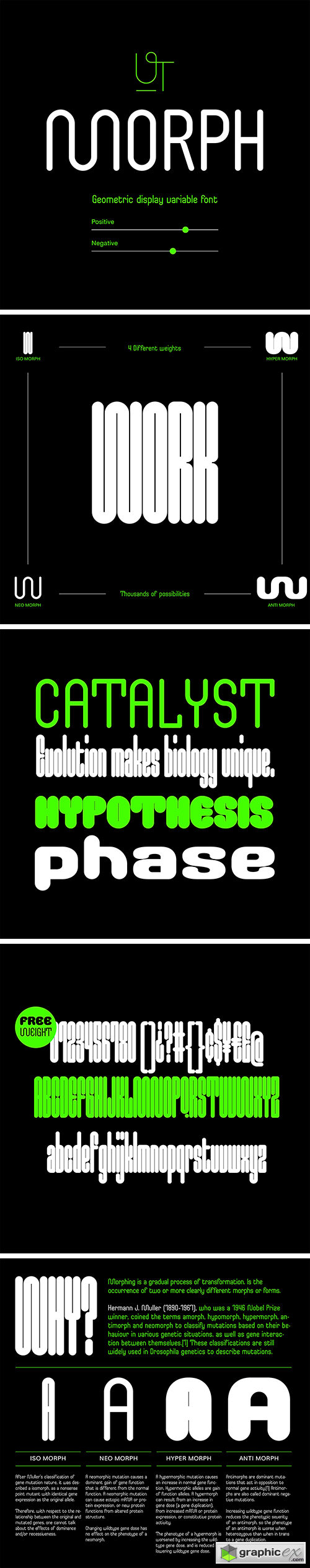  UT Morph Typeface 