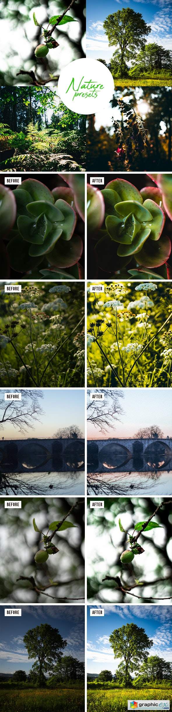 Professional Nature Lightroom Preset (Mobile & Desktop) 