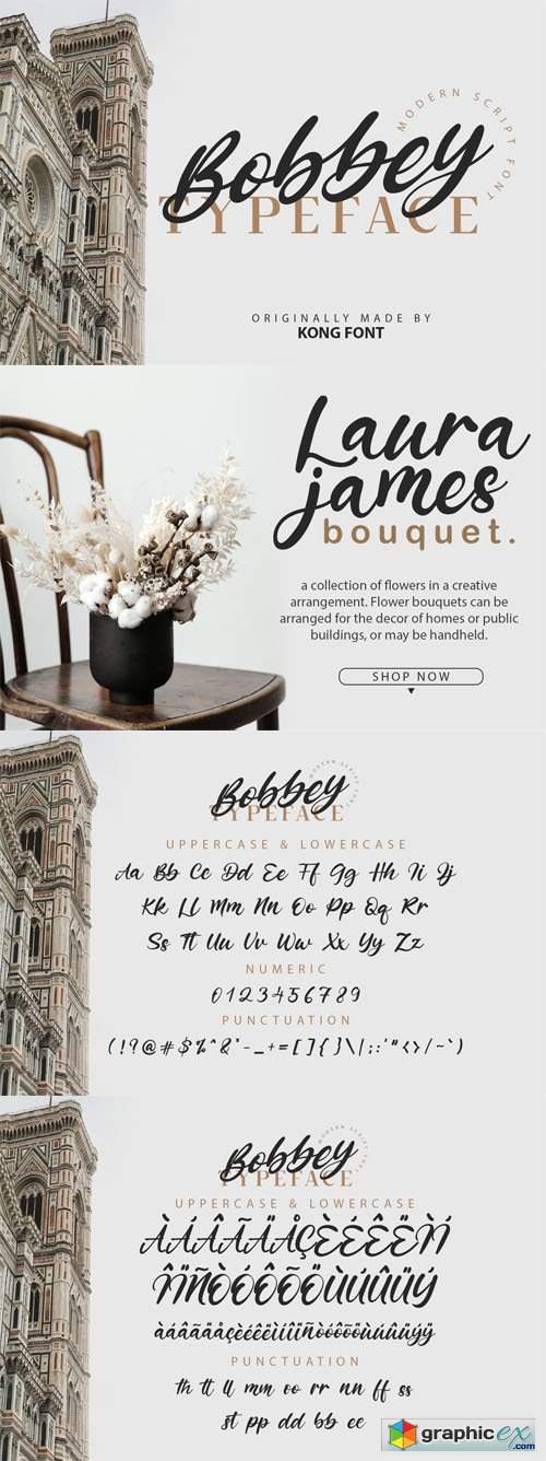  Bobbey Typeface - Modern Scipt Font [2-Weights] 