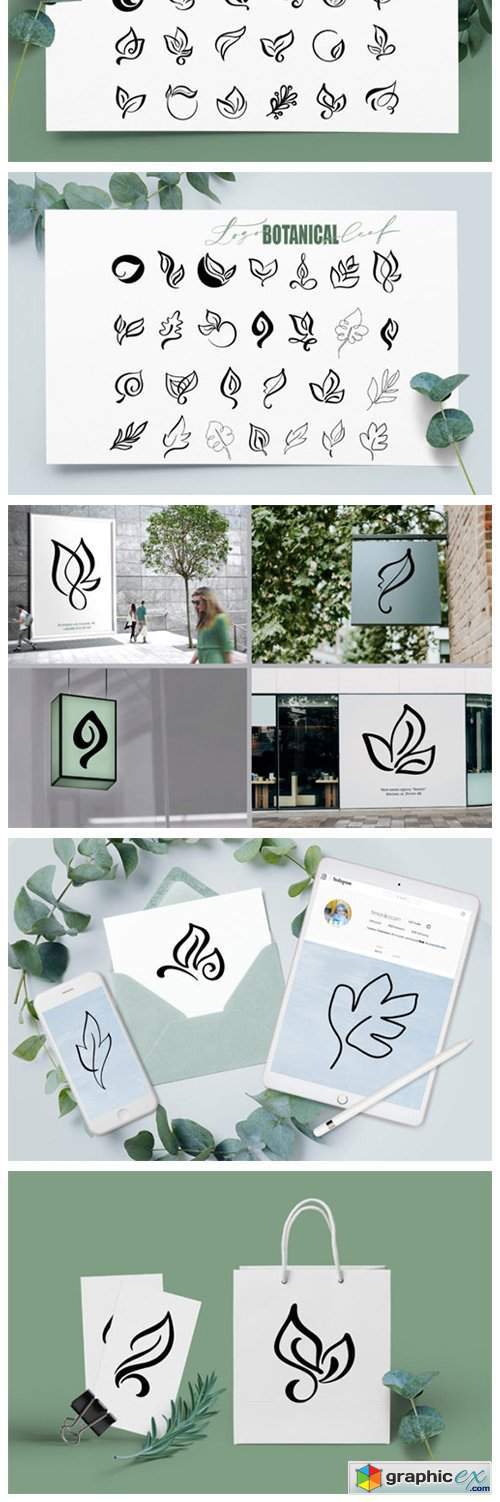 Logo Botanical Leaf SVG