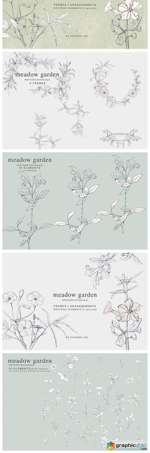  Pencil Sketched Botanicals Set 