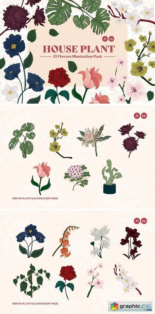 House Plant Illustration Kit
